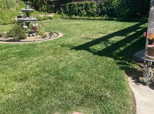 Patricia C.'s grass maintenance service result
