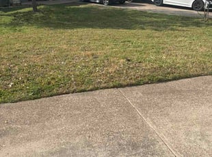 Darrel H.'s turf maintenance service result
