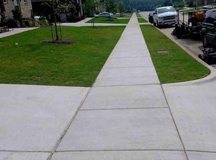 Anthony S.'s turf maintenance service result