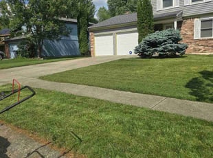 Max Y.'s grass cutting service result