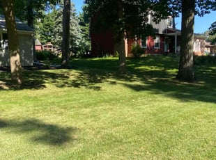 Naresh B.'s lawn maintenance service result