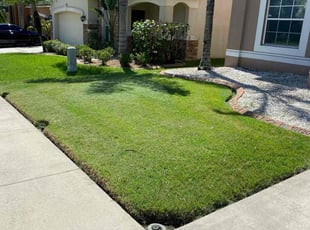 Chelsea G.'s grass cutting service result