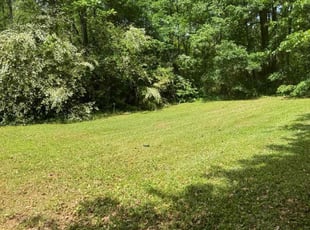 Egypt A.'s lawn care services service result