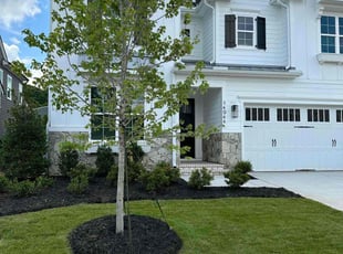 Darrell C.'s turf care service result
