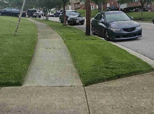 Jackie C.'s turf care service result