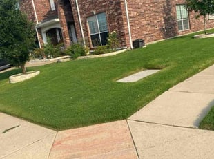 Leo C.'s turf care service result