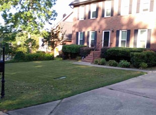 Jasmine C.'s landscaping services service result