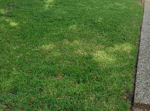 Zachary S.'s turf maintenance service result