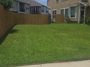 Joe S.'s grass cutting service result