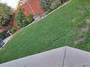 Rebecca W.'s lawn service service result