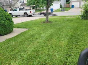 Jennifer R.'s lawn service service result