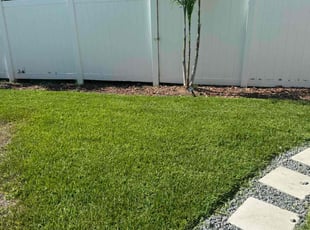 Ryan F.'s turf maintenance service result
