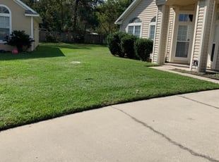 Kc G.'s lawn service service result