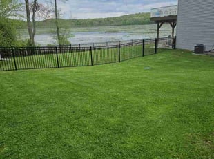 Jonny D.'s lawn care services service result
