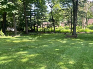 Vikki P.'s lawn care service result
