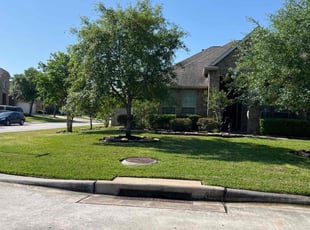 Norvell C.'s landscape maintenance service result