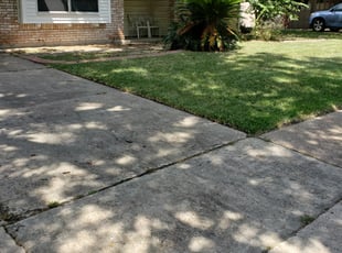 Carol C.'s Bush Trimming service result