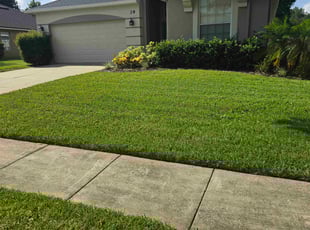 Stephen R.'s lawn service service result