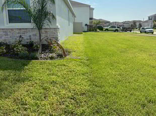 Christopher F.'s lawn care services service result