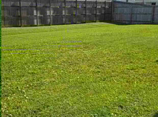 Julia F.'s grass maintenance service result