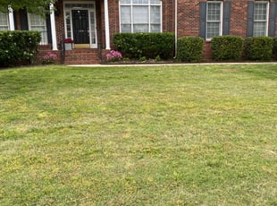 Anne C.'s Bush Trimming service result