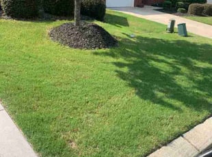 Alfonso B.'s lawn care services service result