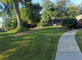 Robert B.'s lawn care services service result