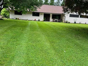Danie D.'s lawn care service result