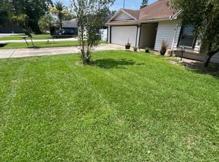 Connie O.'s lawn service service result