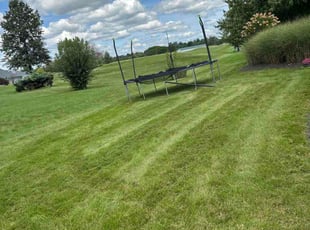 Von A.'s lawn service service result