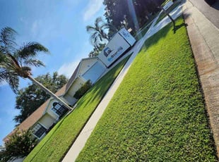 Kim H.'s grass maintenance service result
