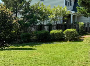 Degundrea R.'s Bush Trimming service result