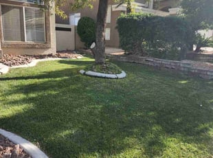 Mizter F.'s lawn maintenance service result