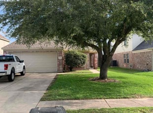 Bianca M.'s lawn care services service result