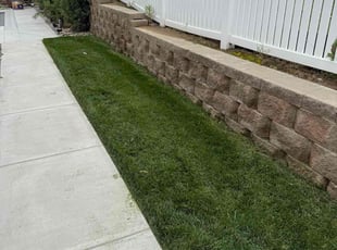 Ken M.'s lawn care service result