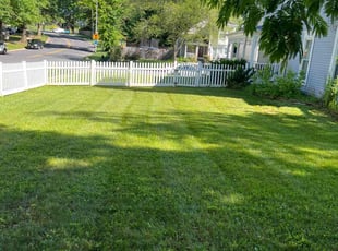 Edwige D.'s grass cutting service result