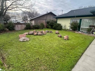 Mark B.'s lawn care service result