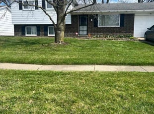 Gayla S.'s turf care service result