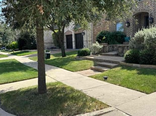 Zach R.'s turf care service result