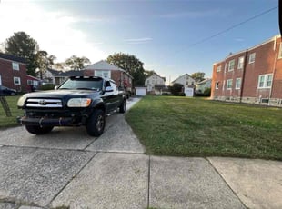 Uzoma O.'s turf maintenance service result