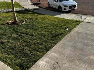 Robert B.'s grass cutting service result