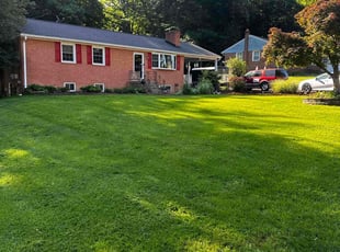 Tasha N.'s lawn care service result