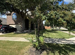 Pamela T.'s lawn maintenance service result