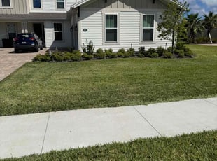 Alassane K.'s grass cutting service result