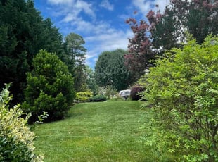 Lisa S.'s yard care service result