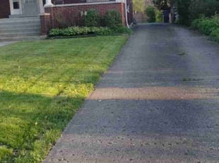 Allen S.'s turf care service result