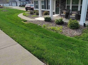 Jack P.'s grass cutting service result