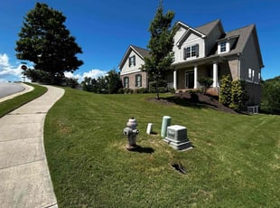 Daisey P.'s turf maintenance service result