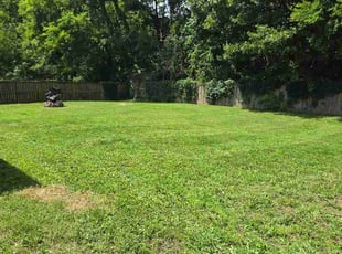 Cindy C.'s lawn service service result