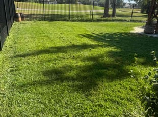 Nicole W.'s turf maintenance service result